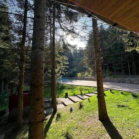 Ялинка Villa Migovo Bagian luar foto