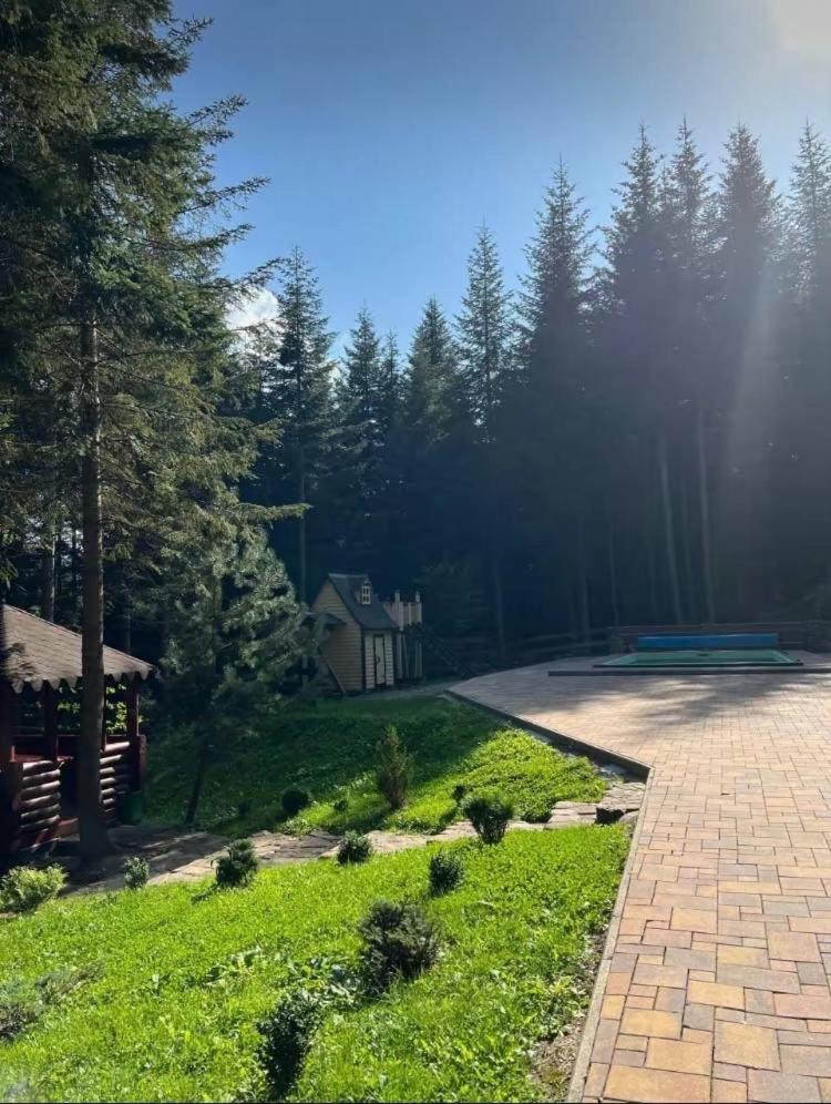 Ялинка Villa Migovo Bagian luar foto