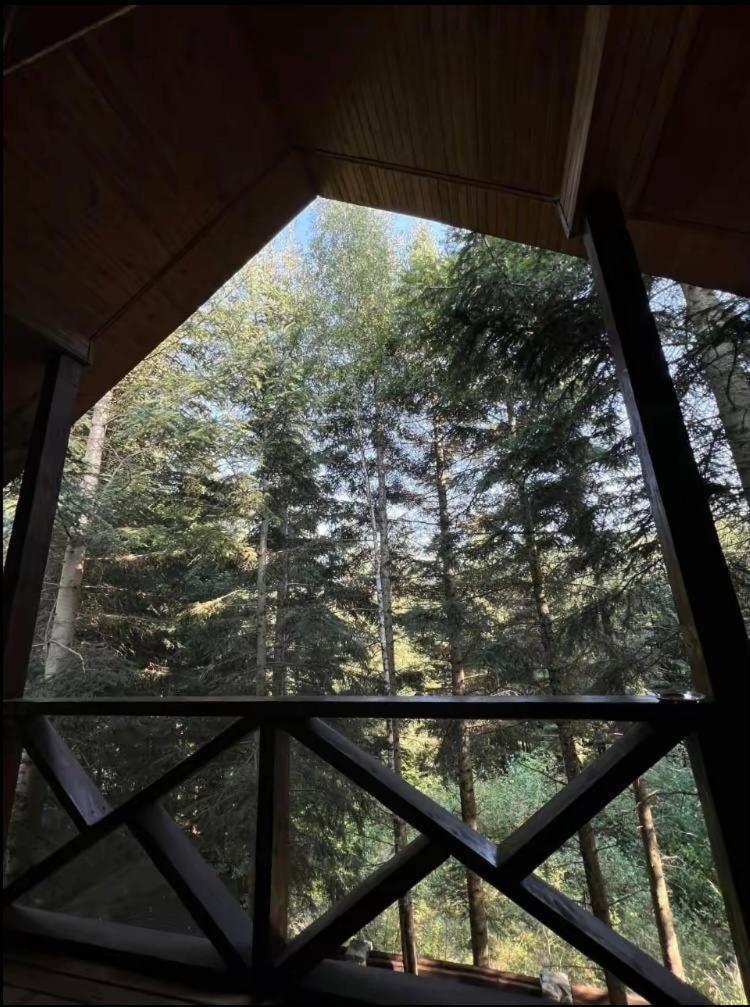 Ялинка Villa Migovo Bagian luar foto