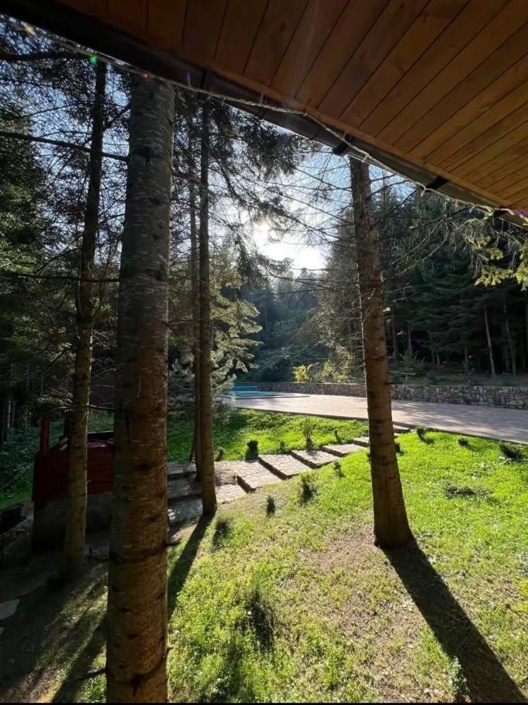 Ялинка Villa Migovo Bagian luar foto