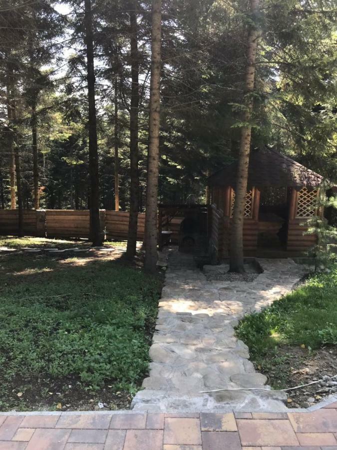 Ялинка Villa Migovo Bagian luar foto
